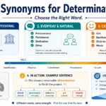 synonyms for determination