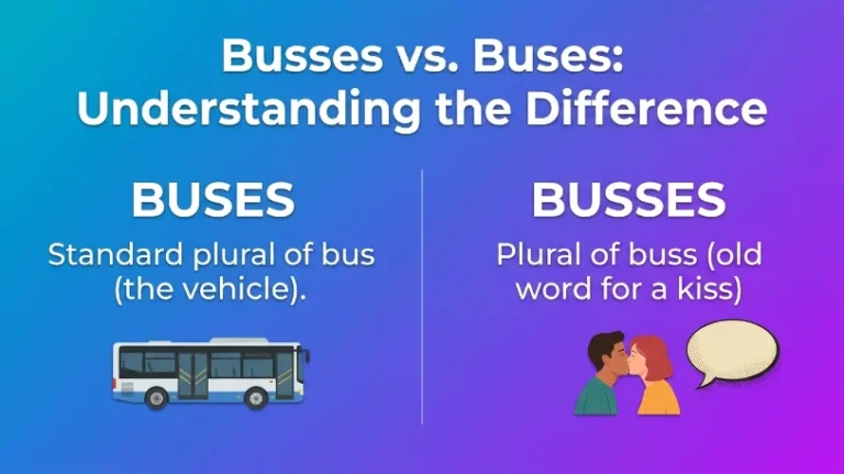 busses or buses