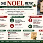 what does noel mean