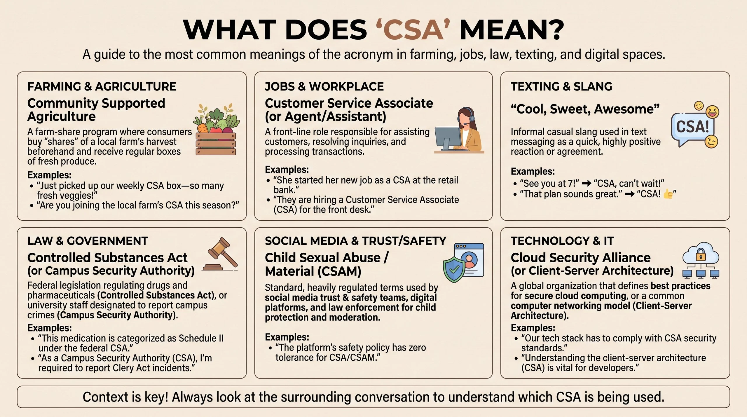 CSA meaning