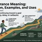 Perseverance Meaning
