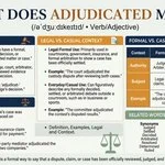 adjudicated meaning